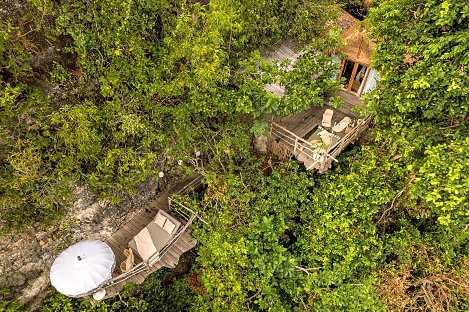 The Korowai