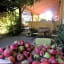 Domaine à Marmande