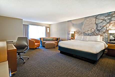 Larger King Room with Sofa Bed