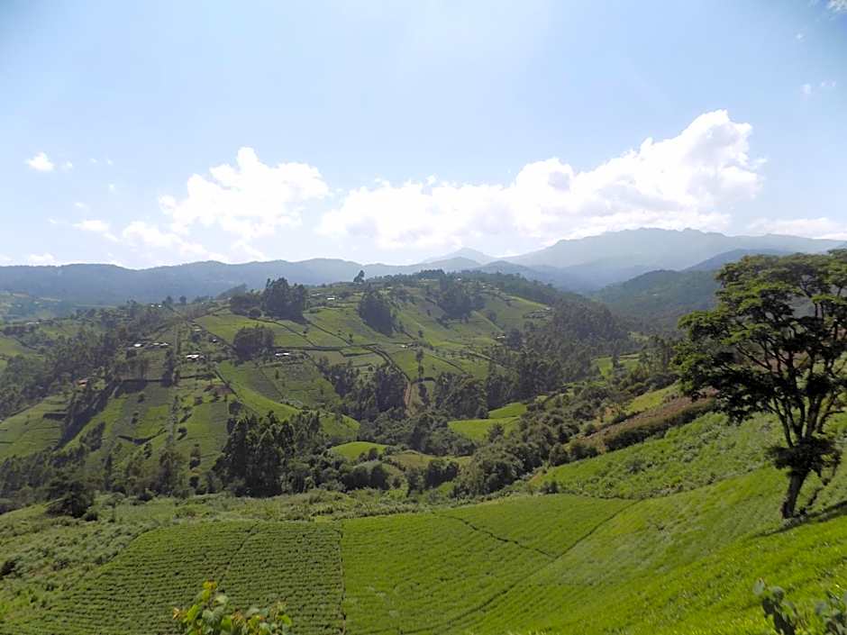 Ranges View Lodge - Aberdare Safari in Murang'a