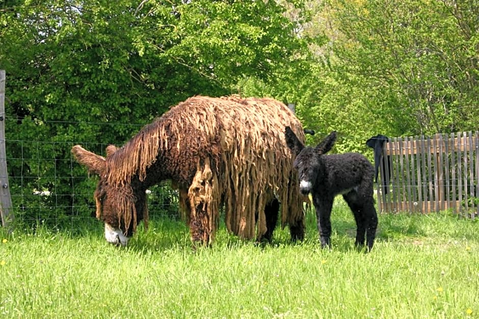 La Ferme du Marais Poitevin - Chambre d'hôtes