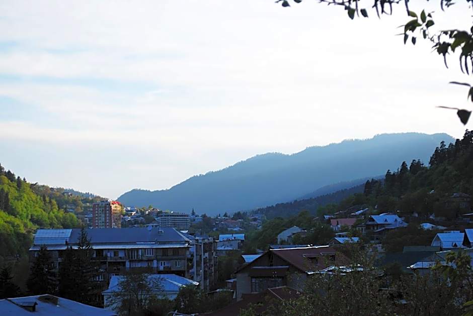 Hotel Old Borjomi