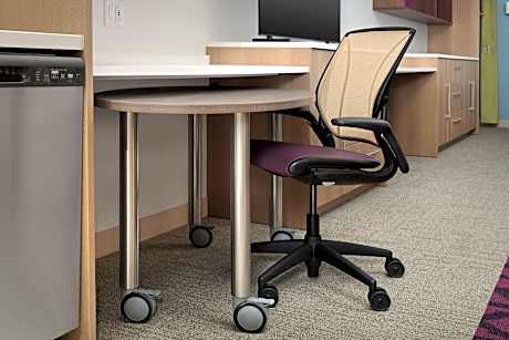 1King Hearing Accessible Studio Suite