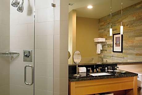 Accessible King Size Bed