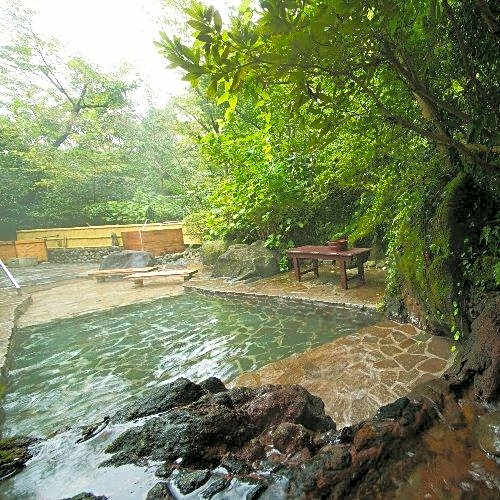 Atsugiiiyama Onsen Motoyu Ryokan
