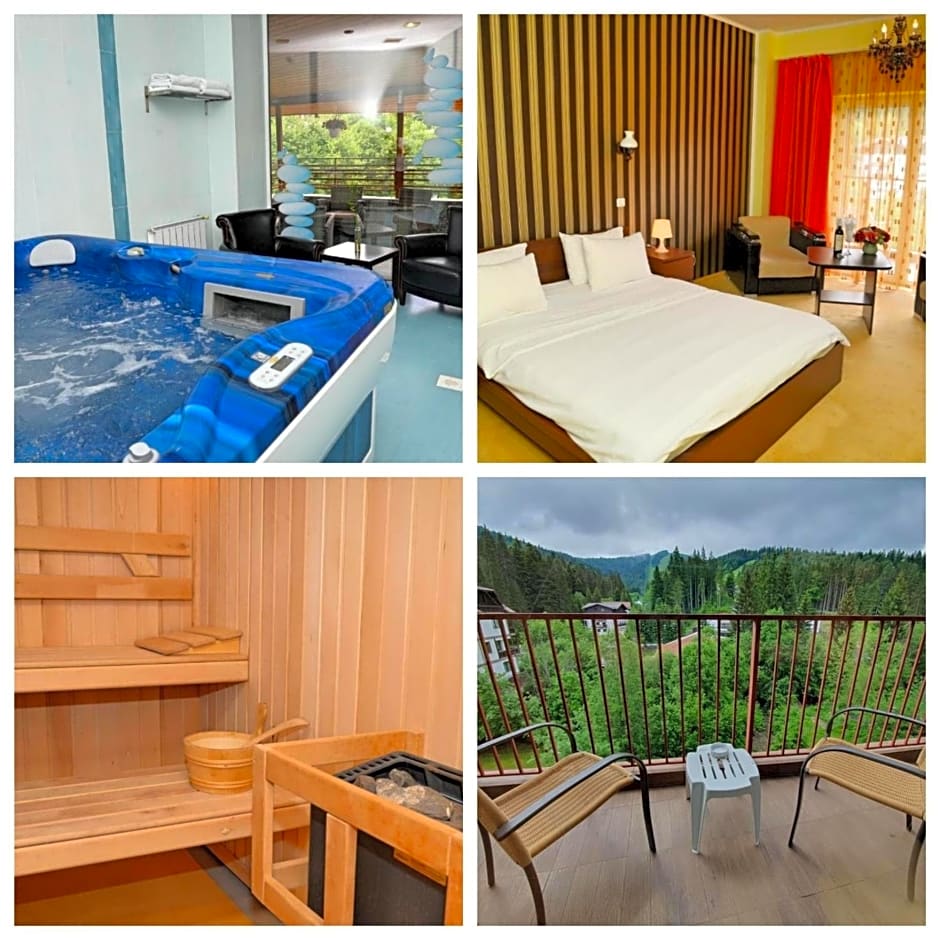 Atrium Hotel Mountain View Predeal