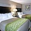 Comfort Inn Camden