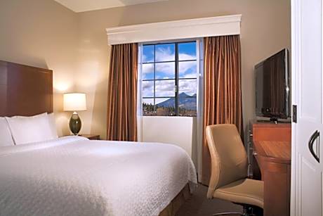 One-Bedroom Premium King Suite
