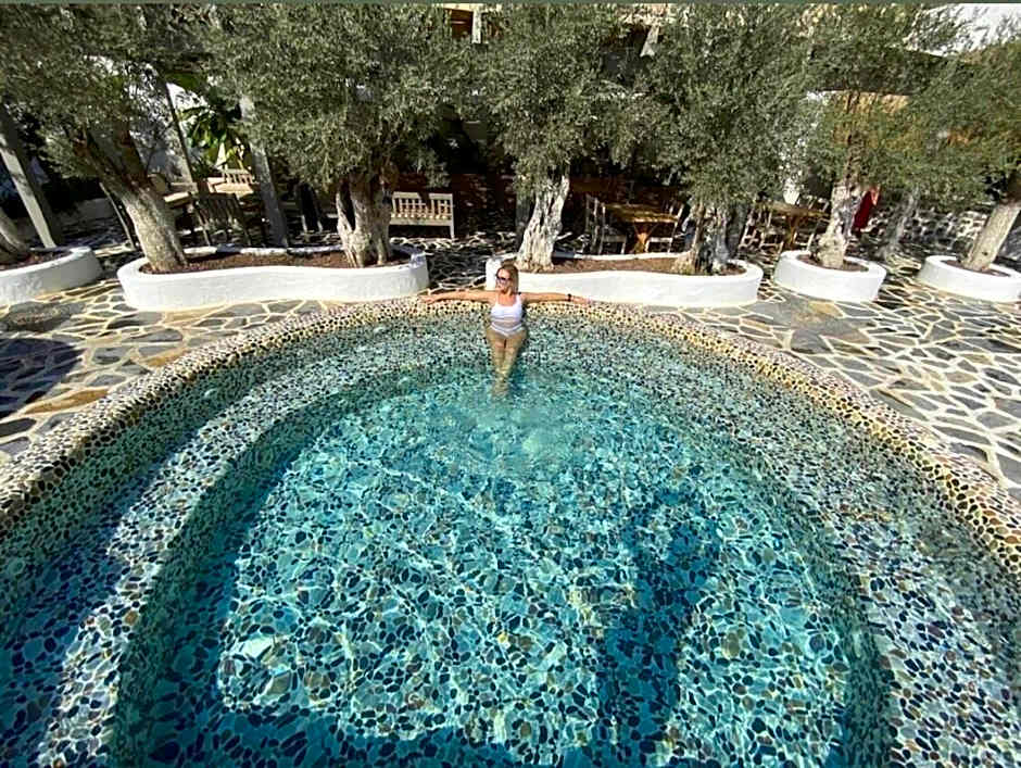 Flamingo Hotel and Spa