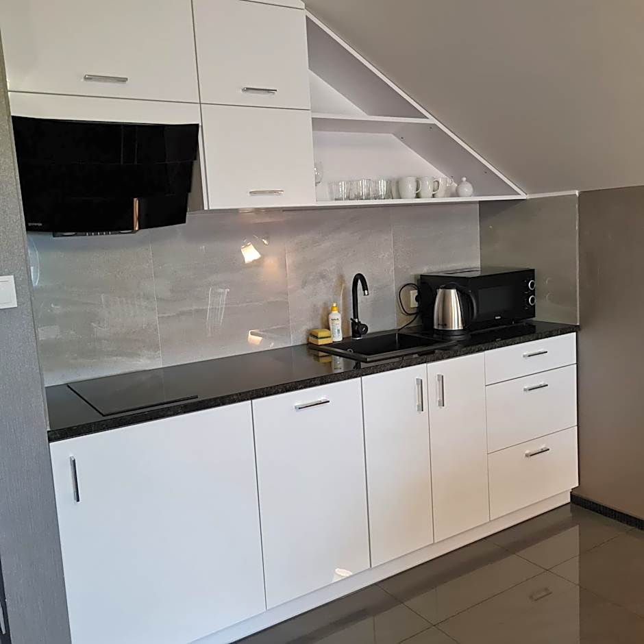Apartament Wileńska