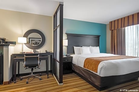 1 King Bed, Suite, Nonsmoking
