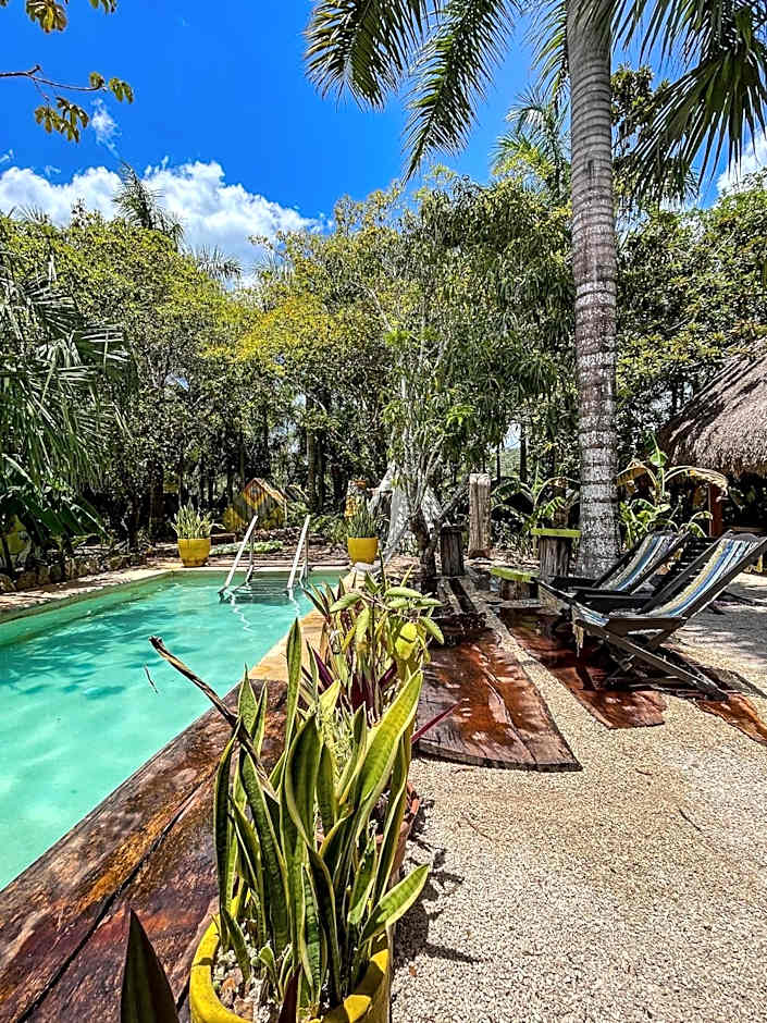 Bufo Alvarius Sanctuary Bacalar