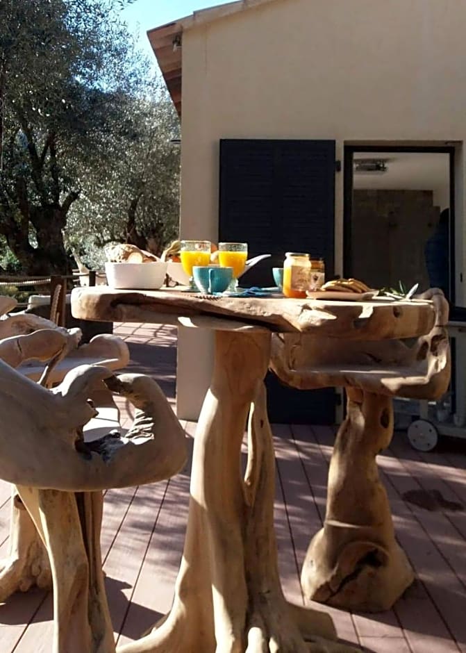 L'oliveraie du Fango