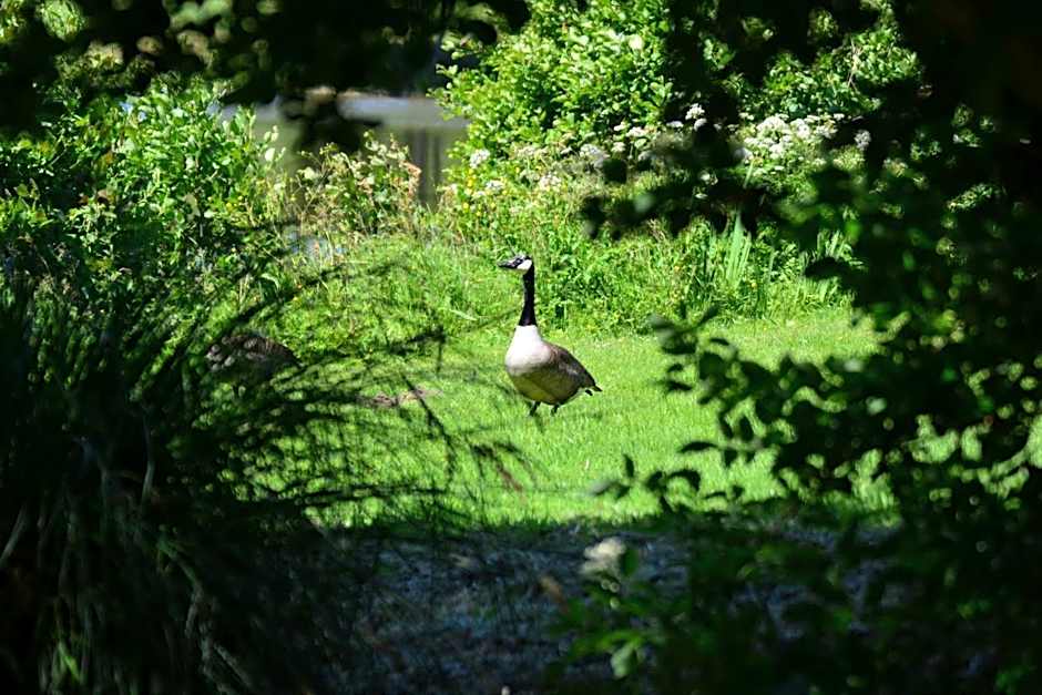 Château de la Motte Beaumanoir