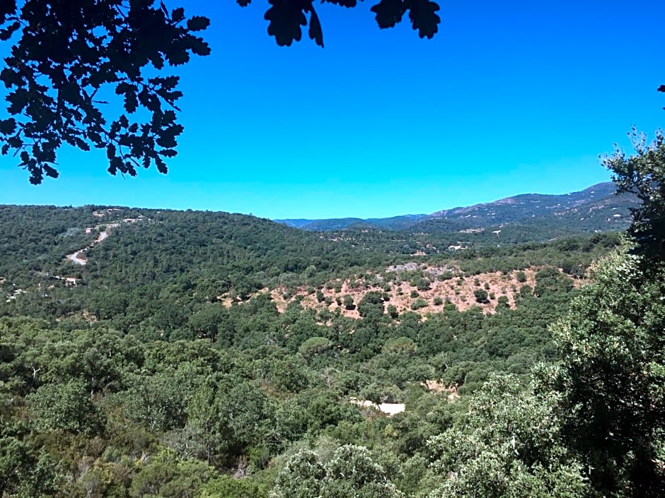 Les Aurochs – Port Grimaud/Grimaud, ID