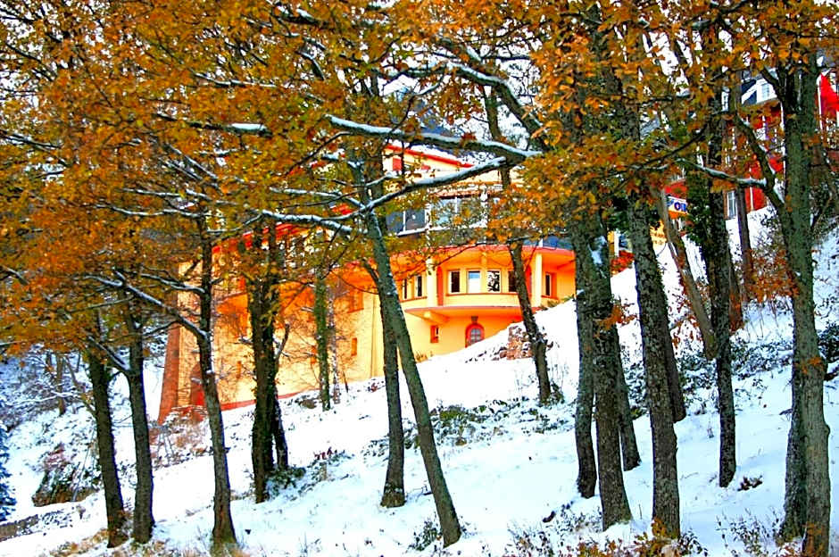 L'Hostellerie Le Turckheim Croix d'or