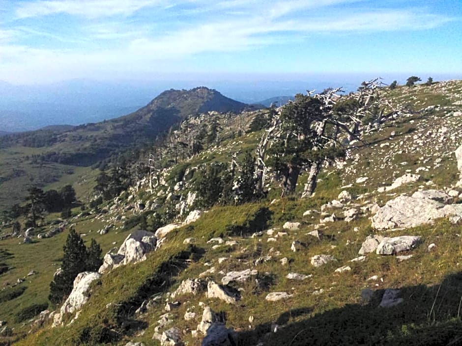 Tana Libera Tutti 1 Nature, Yourself, Love