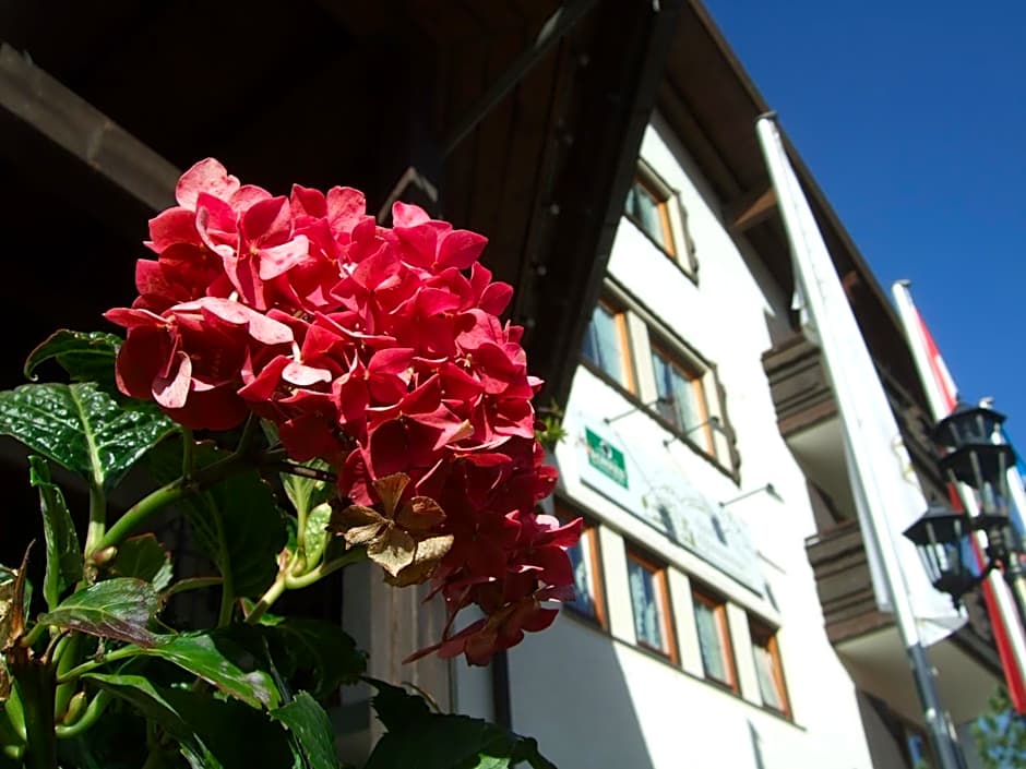 Hotel Alpensonne