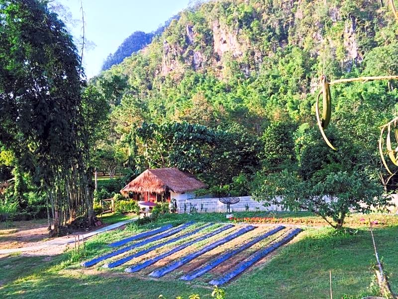 Chiang Dao Hut