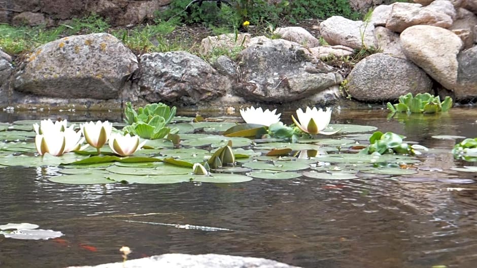 Les chambres de l'Hôte Antique