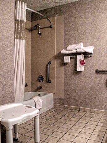 Deluxe Queen Room with Three Queen Beds Non Smoking