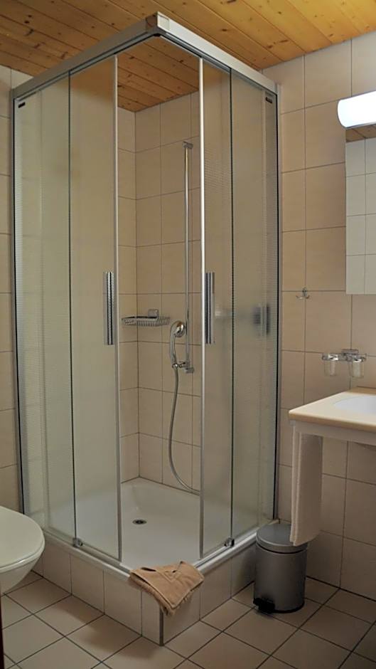 Ferien- und Familienhotel Alpina Adelboden