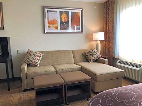 1 Queen Bed Studio Suite Single Sofa Bed