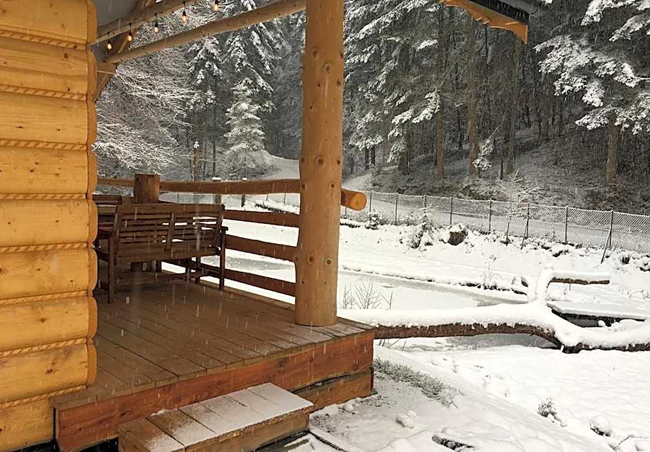 Bieszczady Domek Nad Stawem