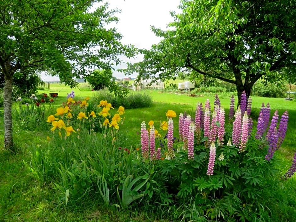 Ô prés d'ici Chambres d'hôtes