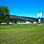 Mountain Springs Motel & RV Park