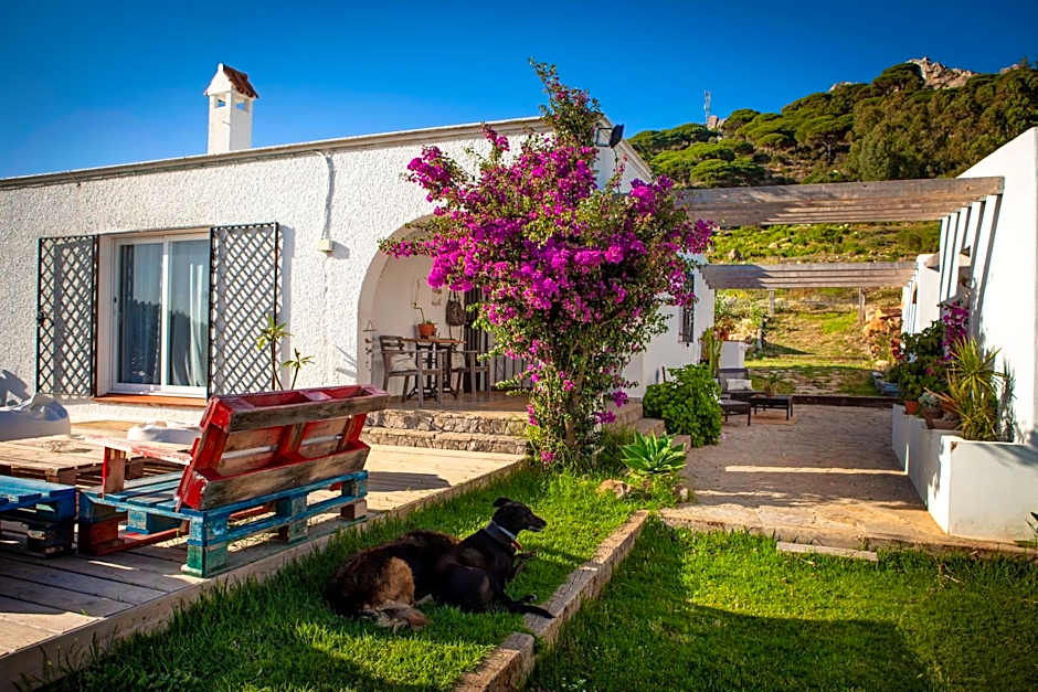 Wild House Tarifa