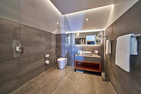 Artistic Suite 