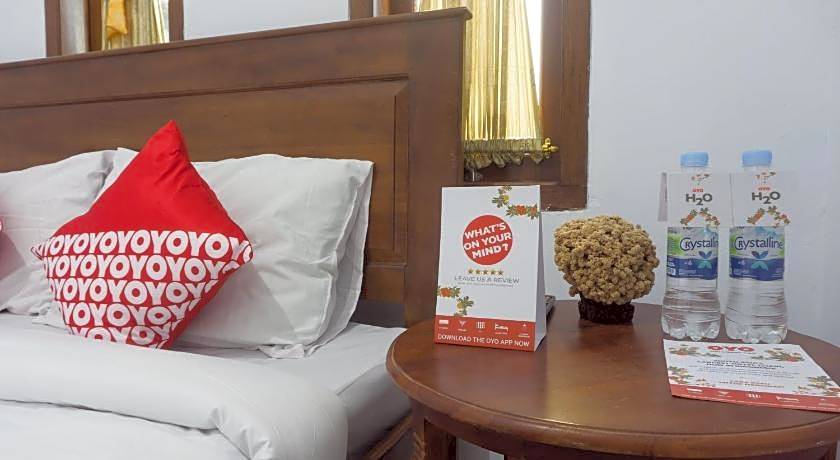 OYO 801 Hansa Homestay