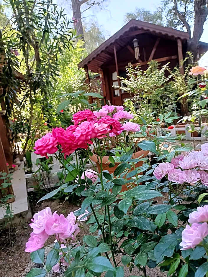 Canario Bungalows