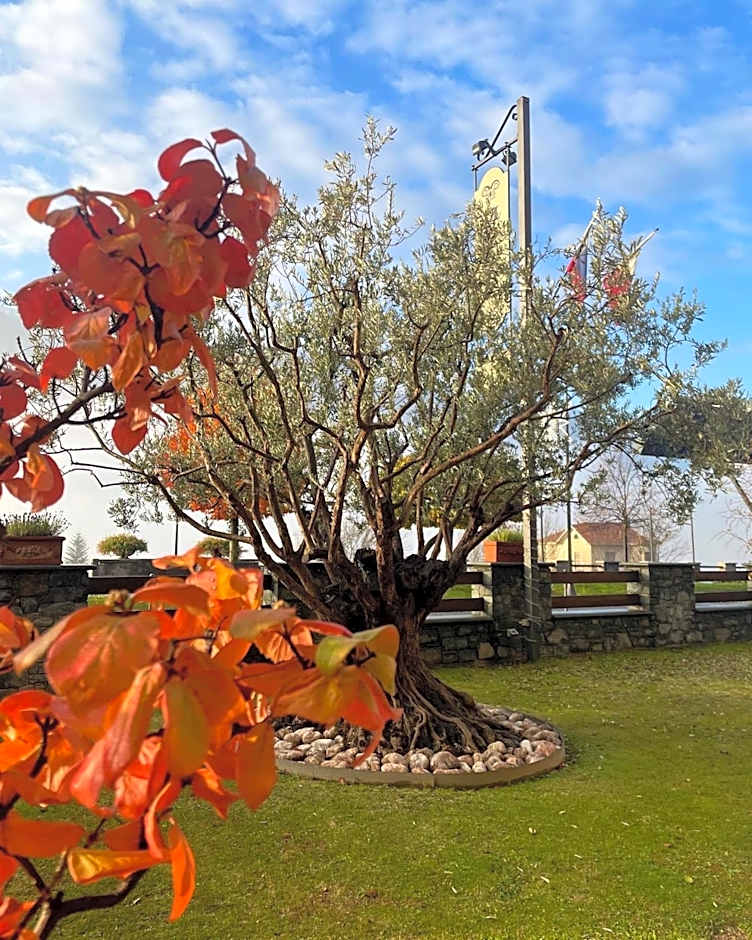 Paradise Hotel & Wellness