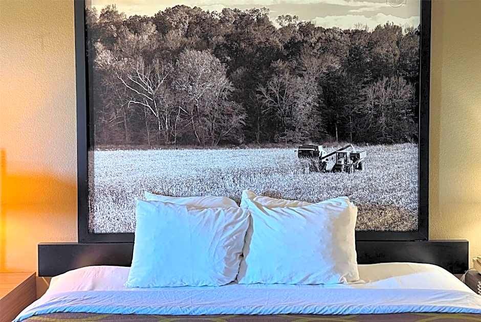 Super 8 by Wyndham Gas City Marion Area