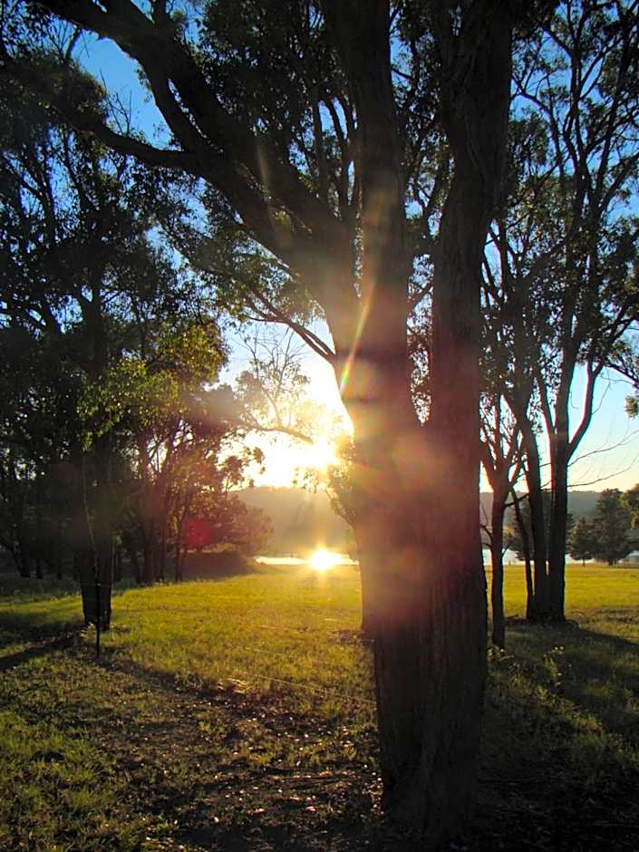 Quaffers on Storm King