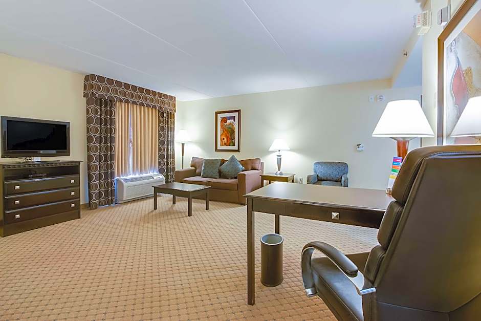 Photo 1 of 9 of 1 King Bed Suite, Hearing/Mobility Accessible, Bathtub