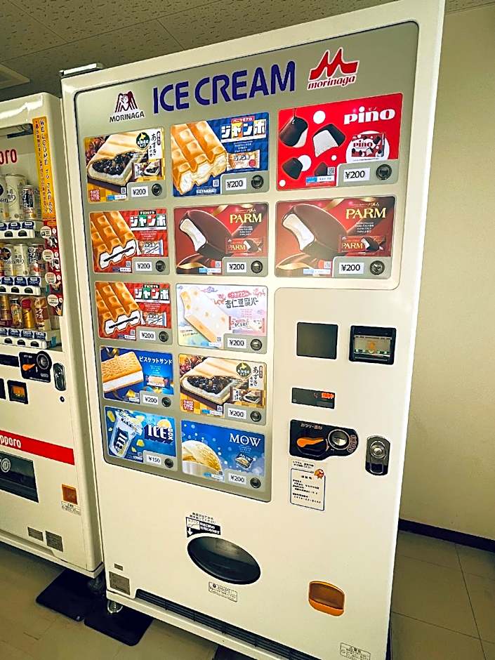 Center Hotel Narita 1