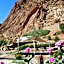 Auberge Le Festival Todra Gorge