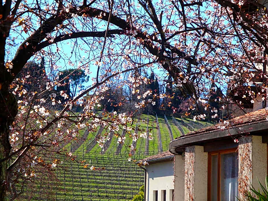 Sporting Hotel Ragno D'oro