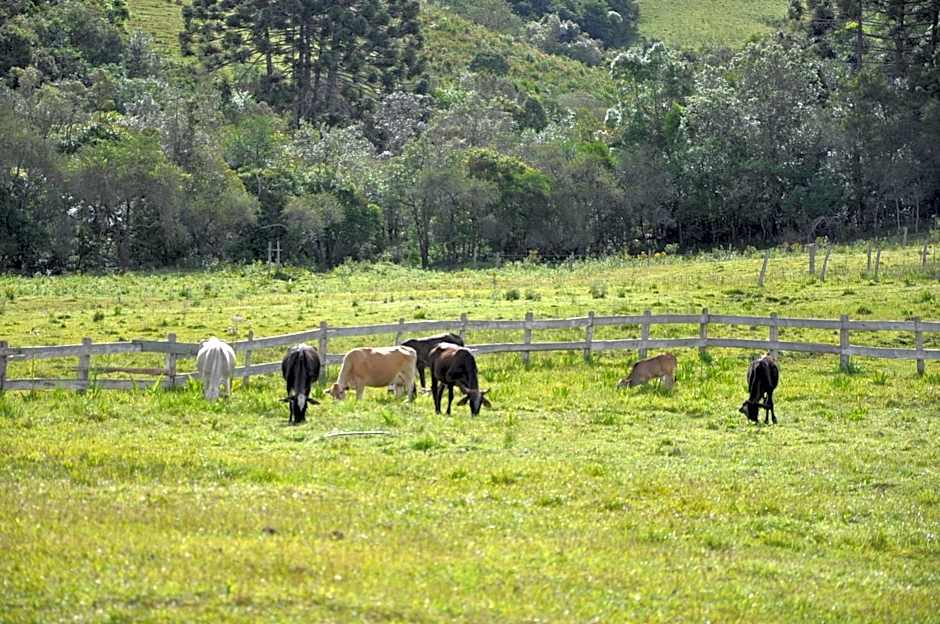 Pousada Ilhas Do Sol