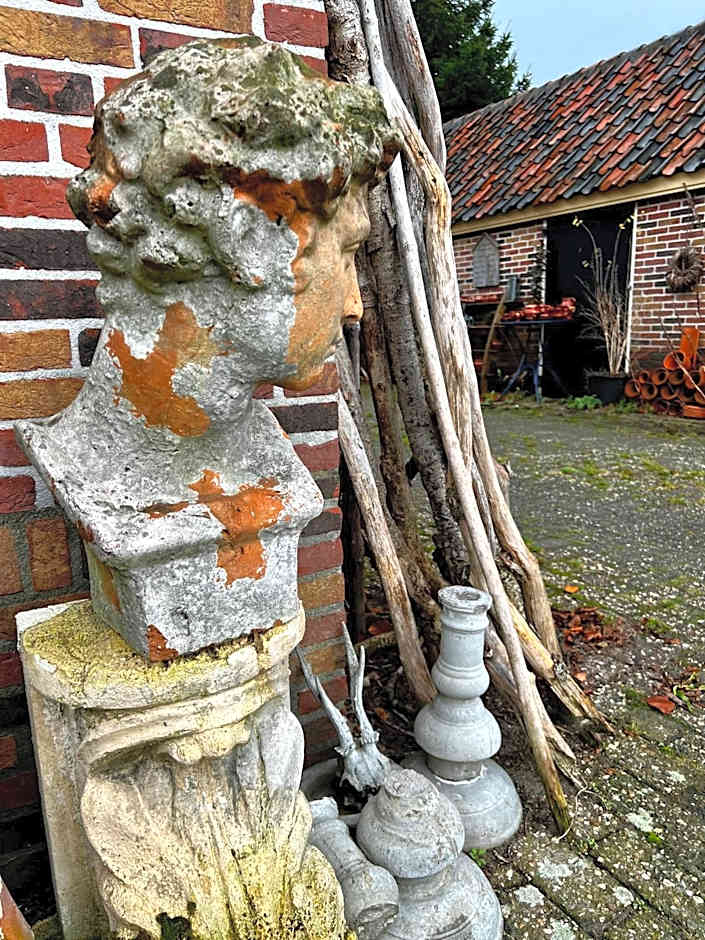 B&B Zandhuizen