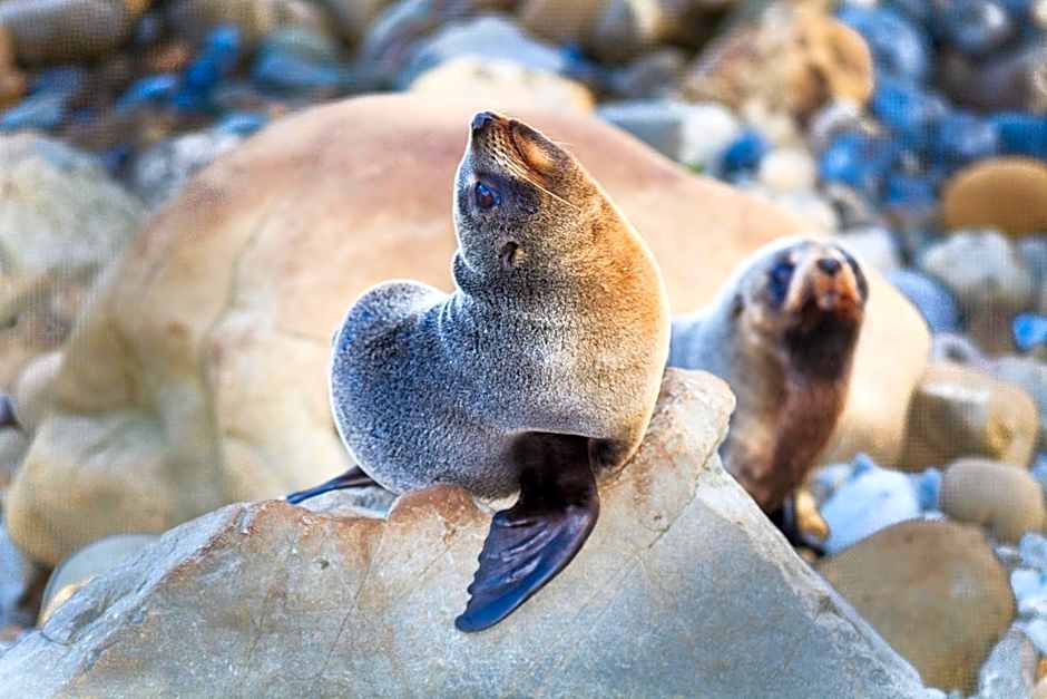 The Factory Luxury Accomodation