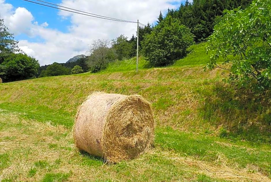 B&B Il Casale delle Pianacce