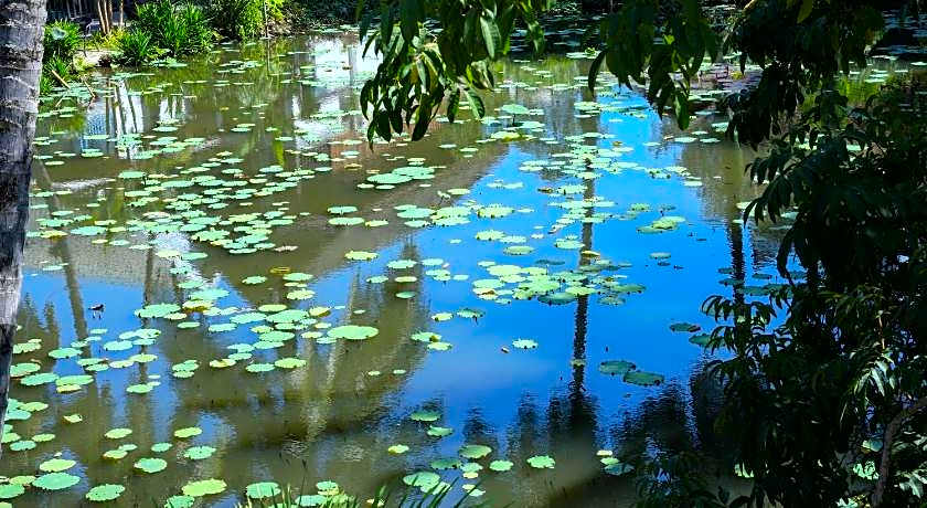 Villa Oasis Luang Prabang