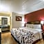 Red Roof Inn Saginaw - Frankenmuth