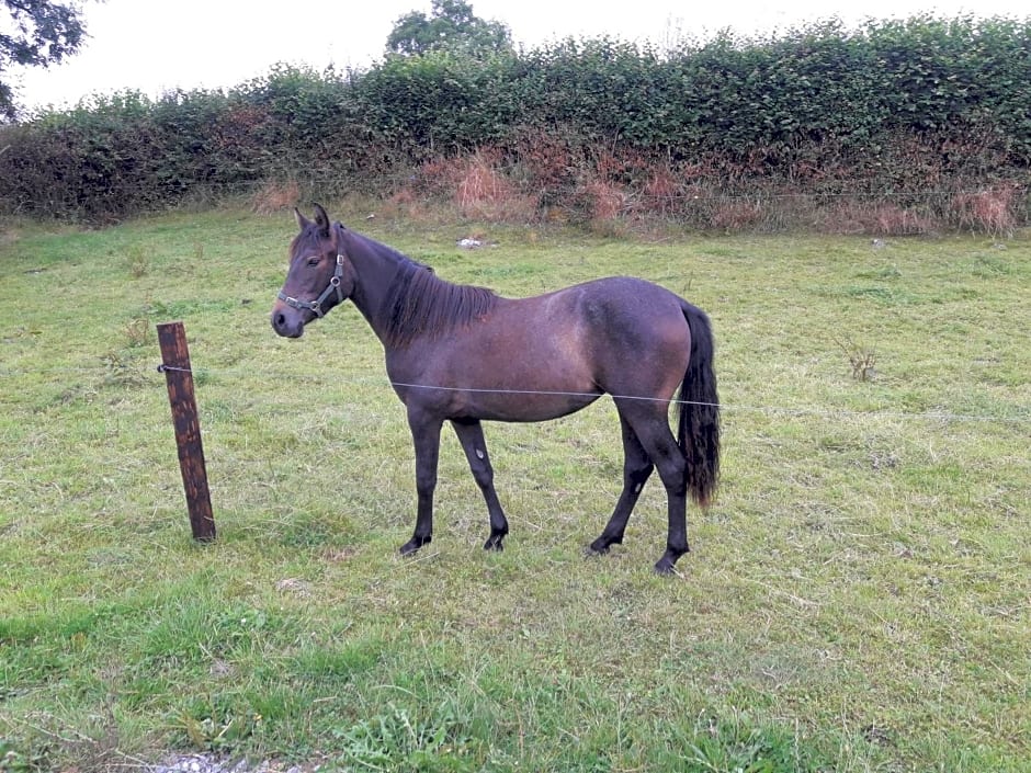 Cedar Lodge Self Catering Accommodation H91 CF9D