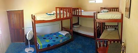 Single Bed in Mixed Dormitory Room