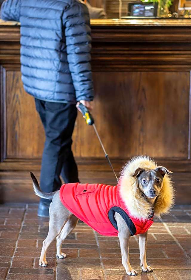 Old Stone Inn Boutique Hotel